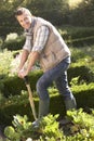 Young man working in garden Royalty Free Stock Photo