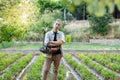 Young man working in the garden with his arms crossed while holding a vegetables basket and the field in the background Royalty Free Stock Photo