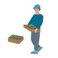 A young man works in the garden, a farmer carries a box of seedlings. Flat cartoon vector illustration