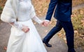 Young married couple holding hands, ceremony wedding day. Bride and groom outdoor. Closeup. Royalty Free Stock Photo