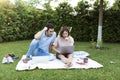 Young married couple sitting on picnic blanket on the lawn in the park and looking at laptop Royalty Free Stock Photo