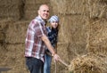 Young and mature fermers with pitchforks working in cows barn