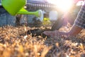 Young men join hands together to plant trees on fertile ground. The concept of protecting nature Royalty Free Stock Photo