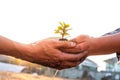 Young men join hands together to plant trees on fertile ground. The concept of protecting nature Royalty Free Stock Photo