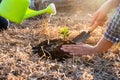 Young men join hands together to plant trees on fertile ground. The concept of protecting nature Royalty Free Stock Photo