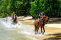 Young men riding horses on the beach on Taveuni Island, Fiji Royalty Free Stock Photo
