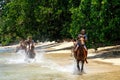 Young men riding horses on the beach on Taveuni Island, Fiji Royalty Free Stock Photo