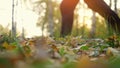 Young men are running on fallen autumn leaves in the forest against shining sun in slowmotion. 1920x1080