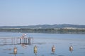 young men, serbs, swimming from an Old pontoon on the Danube river during a sunny afternoon, facing a green forest.