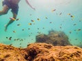 Young men snorkeling exploring underwater coral reef landscape background in the deep blue ocean with colorful fish and Royalty Free Stock Photo