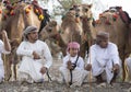 Young men with their camels bifore a race Royalty Free Stock Photo