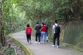 Young men, women or boys and girls, university students hiking along trails in Victoria Peak, Hong Kong during covid-19