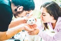 Young men and women playing and kissing their white cat Royalty Free Stock Photo