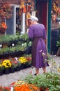 A young Mennonite woman shops for garden flowers Royalty Free Stock Photo