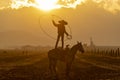 A Young Mexican Charro Cowboy Rounds Up A Herd of Horses Running Through The Field On A Mexican Ranch At Sunrise Royalty Free Stock Photo