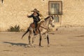 A Young Mexican Charro Cowboy Rounds Up A Herd of Horses Running Through The Field On A Mexican Ranch At Sunrise Royalty Free Stock Photo