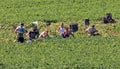 Young Migrant Farm Workers. Royalty Free Stock Photo
