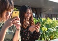 Diverse millennial Asian girlfriends sitting down in urban area socialising outdoors using mobile cell phones to chat