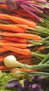 Young mini carrot, onion, basil in row overold wooden background. Flat lay. Cooking concept, food background Royalty Free Stock Photo