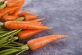 Young mini carrot in row over concreate background. Flat lay, space. Cooking concept, food background. Royalty Free Stock Photo