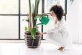 Young mixed race woman crouched down watering large houseplant at home.