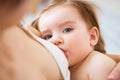 Young mom breast feeding her newborn child. Mother feed her baby girl with breast milk Royalty Free Stock Photo