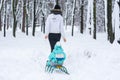 Young mom carries her boy on a sled in a winter park Royalty Free Stock Photo