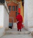 A young monk at Buddhist temple in Sikkim, India Royalty Free Stock Photo