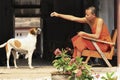 A young monk feeding a stray dog