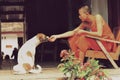 a young monk feeding a stray dog