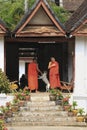 A young monk feeding a stray dog