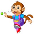 Young monkey playing tennis ball Royalty Free Stock Photo