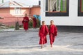 Young monks at the Rumtek Monastery, Sikkim, India