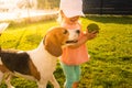 Young 12-18 months caucasian baby girl playing with beagle dog in garden Royalty Free Stock Photo