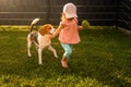 Young 12-18 months caucasian baby girl playing with beagle dog in garden Royalty Free Stock Photo