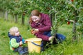 Young mother and adorable little toddler boy picking organic app Royalty Free Stock Photo