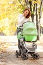 Young mother carrying baby in autumn park Royalty Free Stock Photo