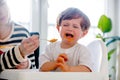 Young mother feeding a toddler boy with a spoon and dog Royalty Free Stock Photo