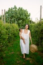 Young mother with her baby girl walking through a vineyard in summer playing and tasting fruits before the harvest at sunset. Royalty Free Stock Photo