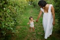 Young mother with her baby girl walking through a vineyard in summer playing and tasting fruits before the harvest at sunset. Royalty Free Stock Photo