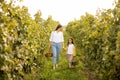 Young mother and her cute girl have fun in autumn vineyard Royalty Free Stock Photo