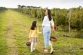 Mother and her cute girl have fun in autumn vineyard Royalty Free Stock Photo