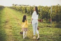 Young mother and her cute girl have fun in autumn vineyard Royalty Free Stock Photo