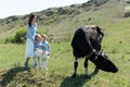 A young mother and her twin daughters look at a black cow in a meadow in the village Royalty Free Stock Photo