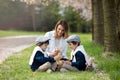 Young mother and her two children, boys, playing with little baby chicks in cherry blossom garden Royalty Free Stock Photo