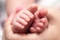 Newborn. Royalty Free Stock Photo