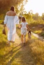 young mother is holding her child& x27;s daughter hand and walking in green meadow on a summer sunny day. Family Royalty Free Stock Photo