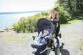 A Young mother jogging with a baby buggy Royalty Free Stock Photo