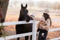 Young mother and little baby girl near a horses in autumn sunny day. Mother stroking a horse and smiling. mother`s day Royalty Free Stock Photo