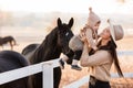 Young mother and little baby girl near a horses in autumn sunny day. Mother stroking a horse and smiling. mother`s day Royalty Free Stock Photo